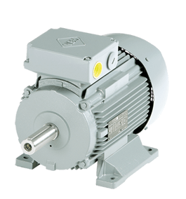 VEM Elektromotor bei Stranzl